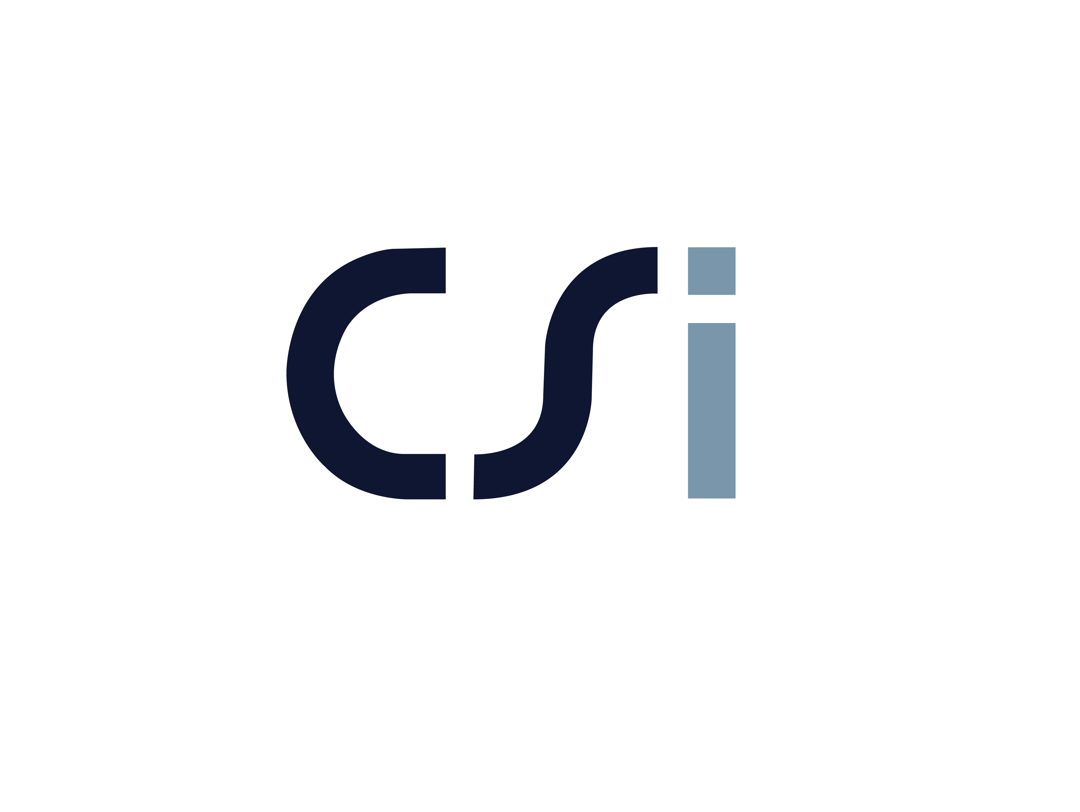 Logo CSi-03